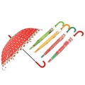 Parasol MIX