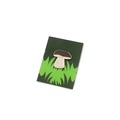 Pin borowik