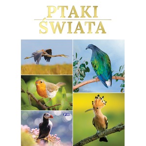 Ptaki świata