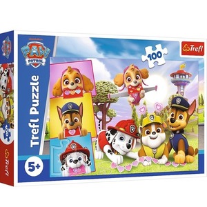 Puzzle 100 Nieustraszone dziewczyny Viacom Paw Patrol 16520
