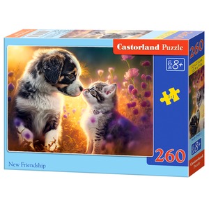 Puzzle 260 New Friendship CASTOR