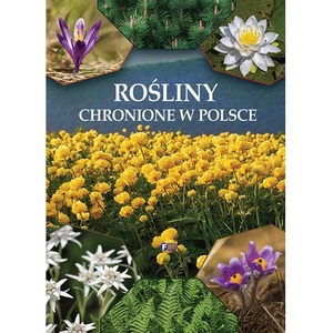 Rośliny chronione w Polsce