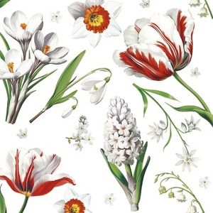 Serwetki Lunch Daisy - White Spring Flowers SDWI010101