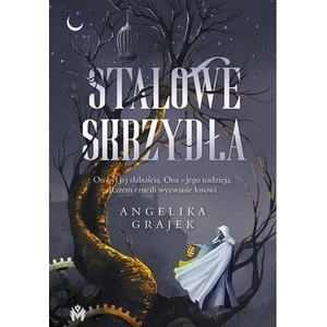 Stalowe skrzydła