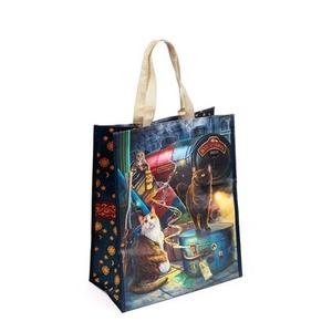 Torba na zakupy Witchwood Express Cat Lisa Parker