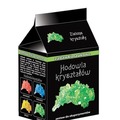 Zabawki naukowe Hodowla kryształów - Zielone