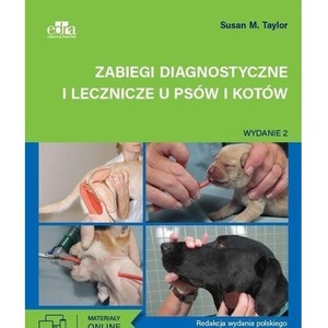 Zabiegi diagnostyczne i lecznicze u psów i kotów