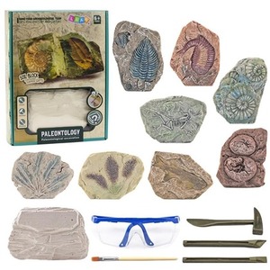 Zestaw paleontologiczny wykopaliska narzdzia