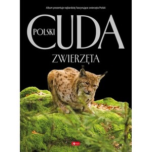 Zwierzęta. Cuda Polski