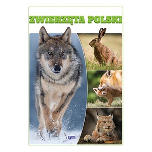 Zwierzęta Polski